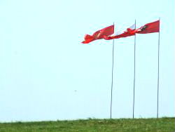 Rycerze zjednoczonej Europy przybywajcie...